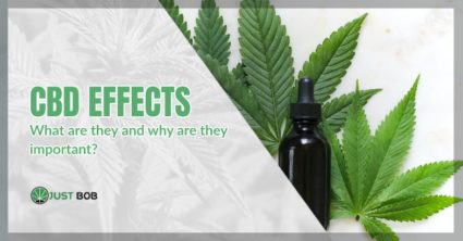 CBD effects