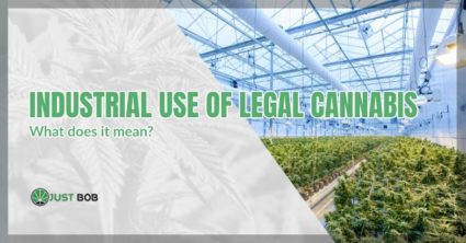 Industrial use of legal cannabis