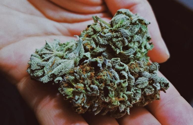 resin in CBD cannabis