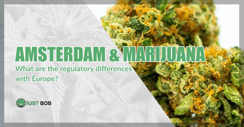 Amsterdam & marijuana differences with europe
