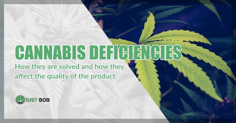 CBD Cannabis deficiencies how they are solved