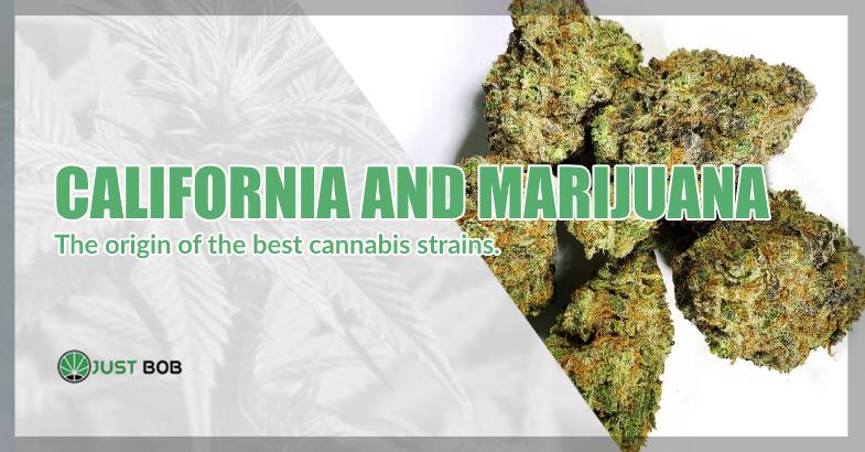 California and marijuana CBD