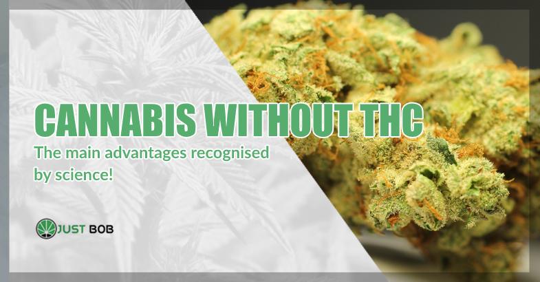Cannabis without THC advantages