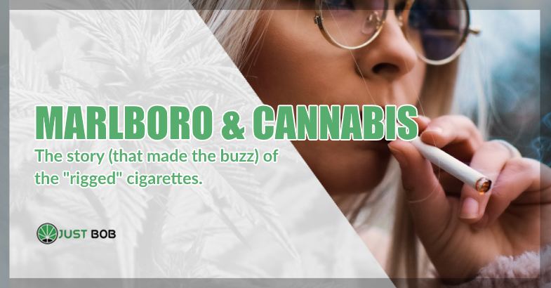 Marlboro & Cannabis story