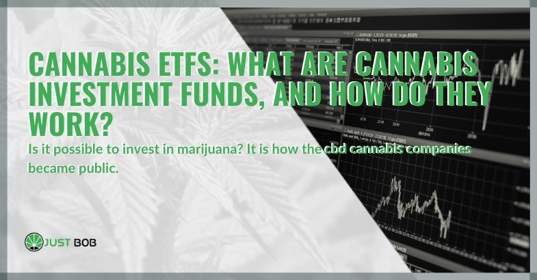Cannabis ETFs: what are cannabis investment funds, and how do they work?