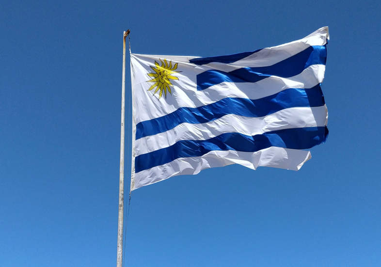 Uruguay, a country where Cannabis is a resource