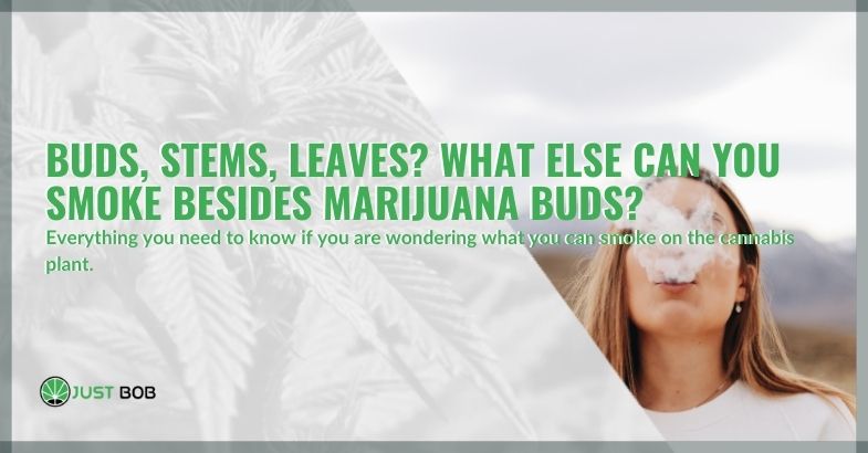 Buds, stems, leaves? What else can you smoke besides marijuana buds?