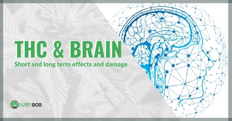 THC & brain: short and long term effects and damage