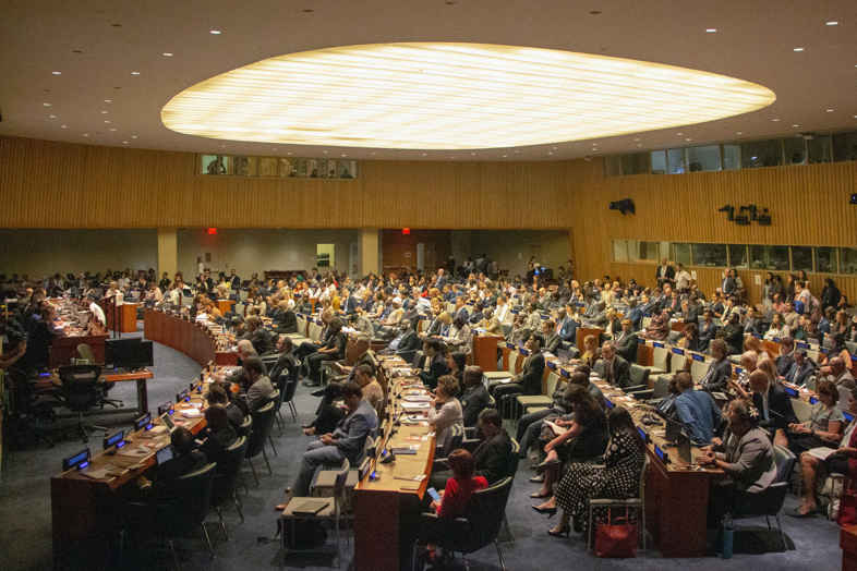 UN meeting on the properties of cannabis for medical use