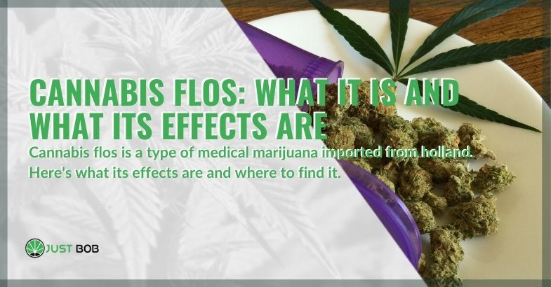 What is Flos cannabis and its effects