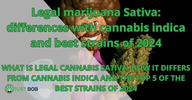 Legal marijuana Sativa: differences with cannabis indica