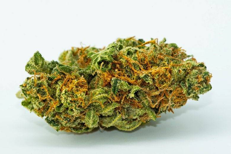 High quality light cannabis bud