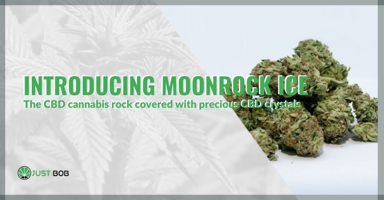 Introducing Moonrock Ice, the CBD cannabis rock covered with precious CBD crystals