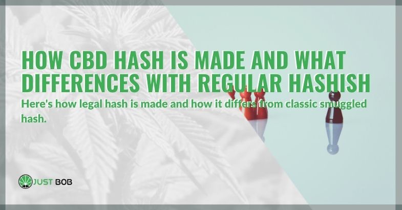 How CBD hash is made and what differences with regular hashish