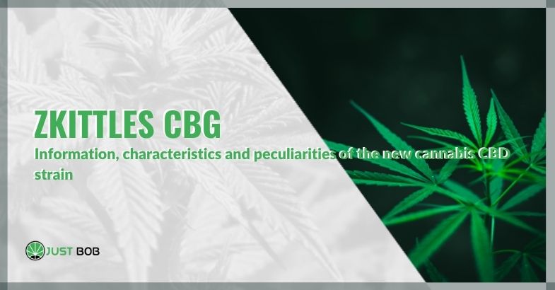 Zkittles CBG: information, characteristics and peculiarities of the new cannabis CBD strain
