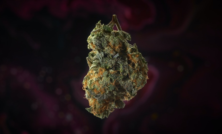 Gorilla Glue # 4 overview, the world's most potent herb