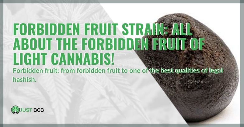 All about legal cannabis Forbidden fruit