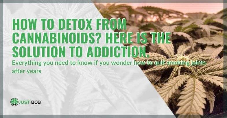 Here is the solution to detoxify from cannabinoids