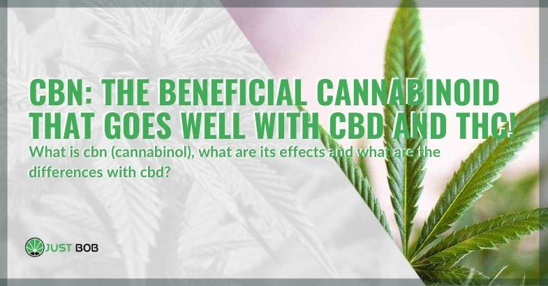 CBN, the beneficial cannabinoid