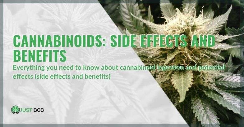 The benefits and side effects of cannabinoids