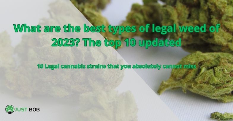 What are the best types of legal weed of 2023? The top 10 updated