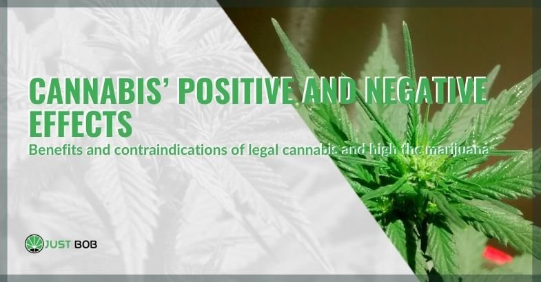 The positive and negative effects of cannabis