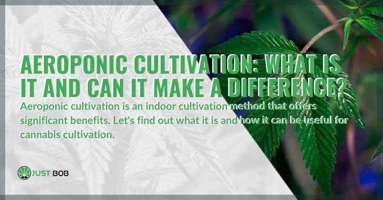 What is aeroponic cultivation and what advantages does it offer?