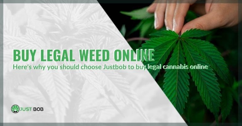 Why buy legal cannabis online at Justbob