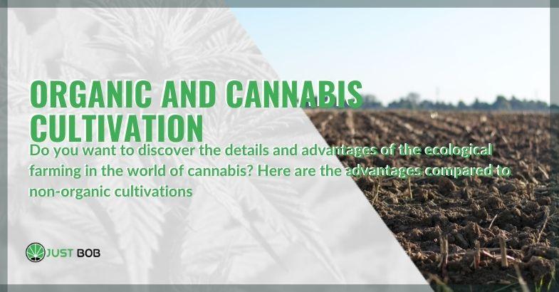 The benefits and characteristics of organic farming in cannabis