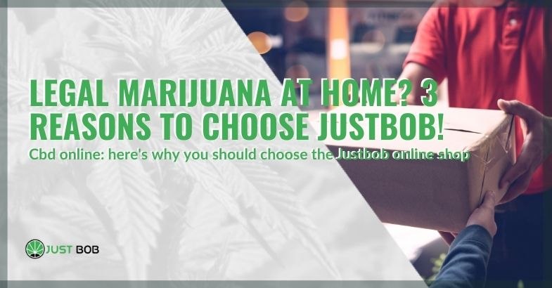 3 reasons to choose Justbob to have legal cannabis at home