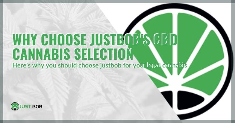 Justbob: why choose its selection of CBD cannabis