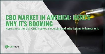 The evolution of the CBD market in the USA